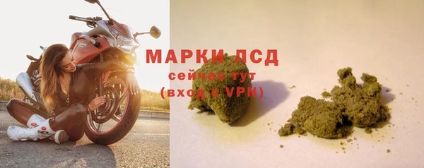 дмт Абаза