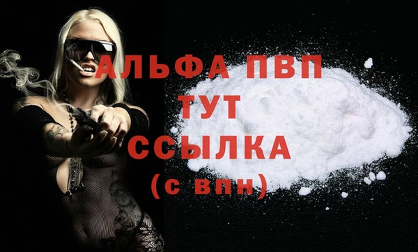 дмт Абаза