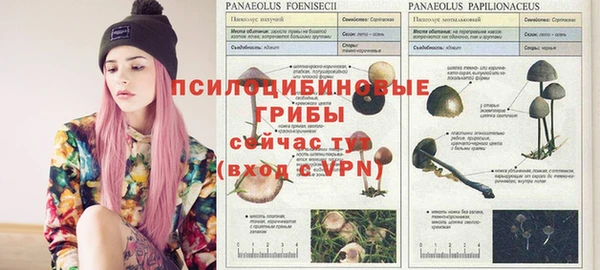каннабис Абинск