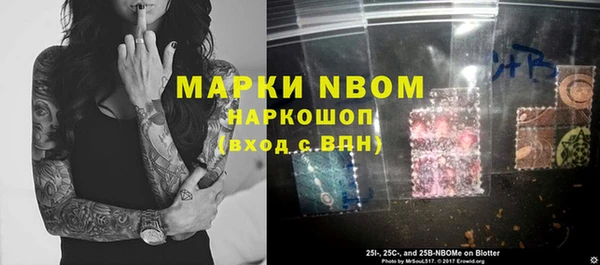гашик Алексеевка